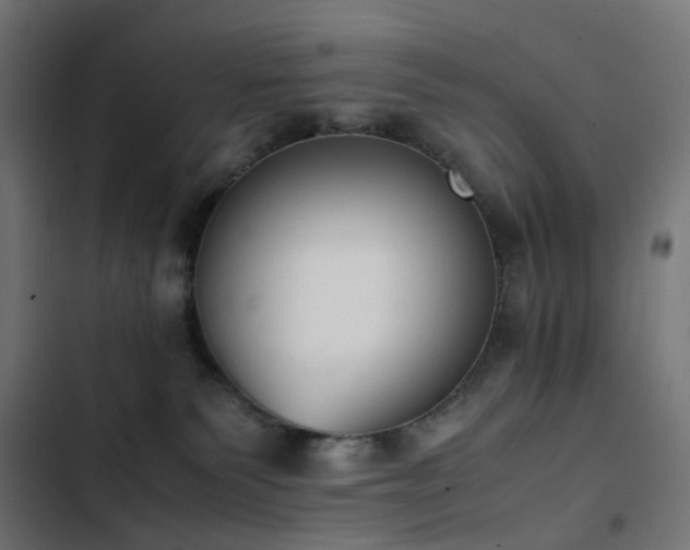 X0000103450135200809121437