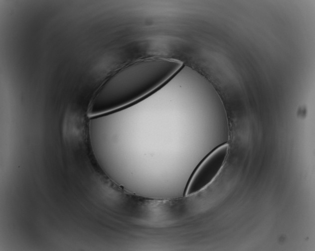 X0000103450136200809121437