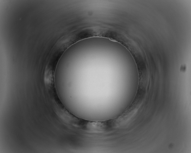 X0000103450137200809121437