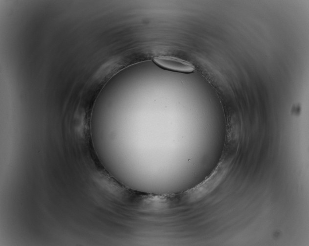 X0000103450140200809121437