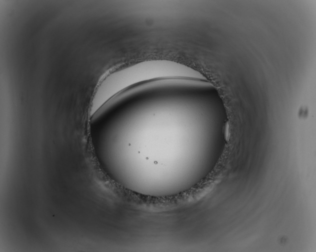 X0000103450144200809121437