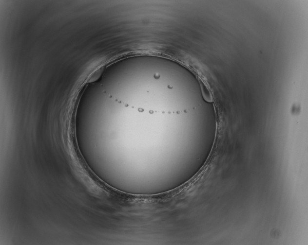 X0000103450145200809121436