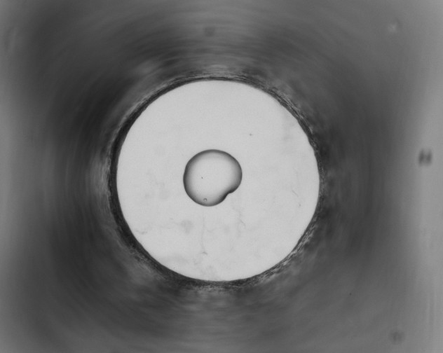 X0000103450146200809121436