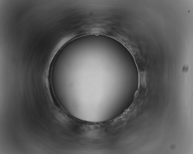 X0000103450147200809121436