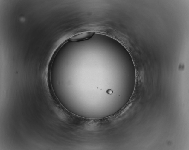 X0000103450148200809121436