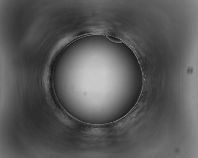 X0000103450149200809121436