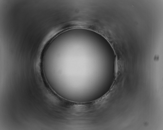 X0000103450150200809121436