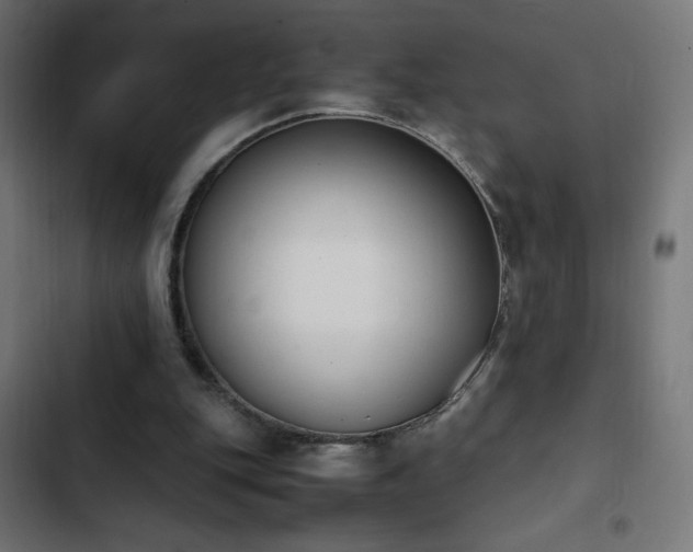 X0000103450151200809121436