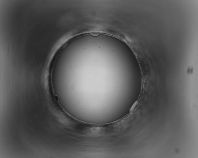 X0000103450152200809121436