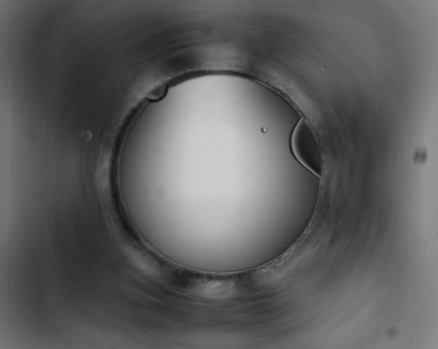 X0000103450155200809121436