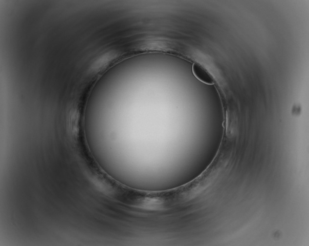 X0000103450157200809121436