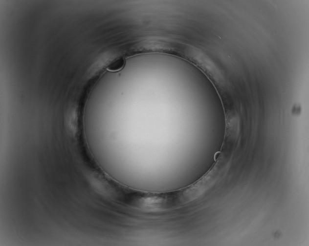 X0000103450158200809121436