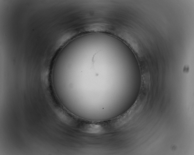 X0000103450159200809121436