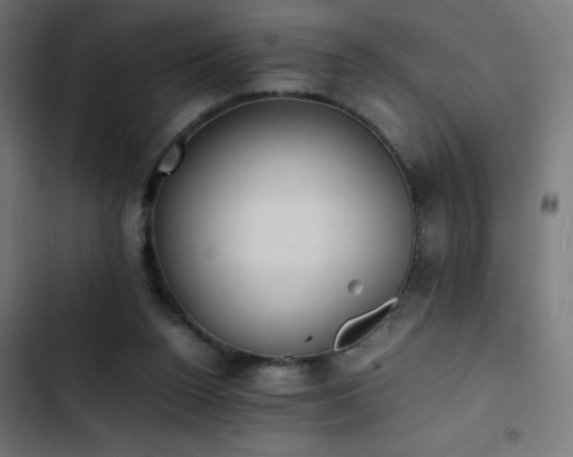 X0000103450160200809121436