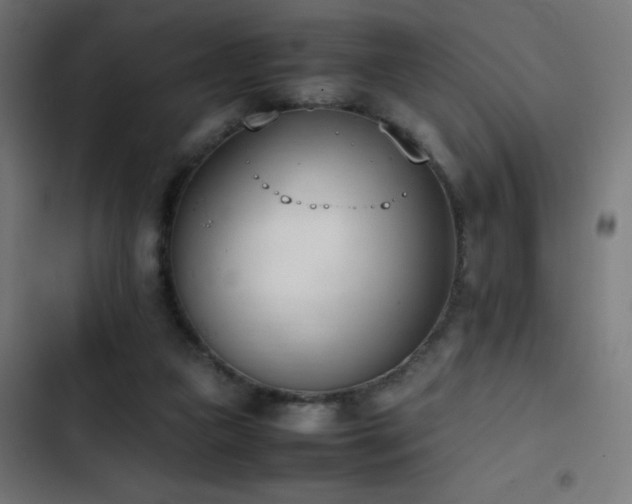 X0000103450161200809121436