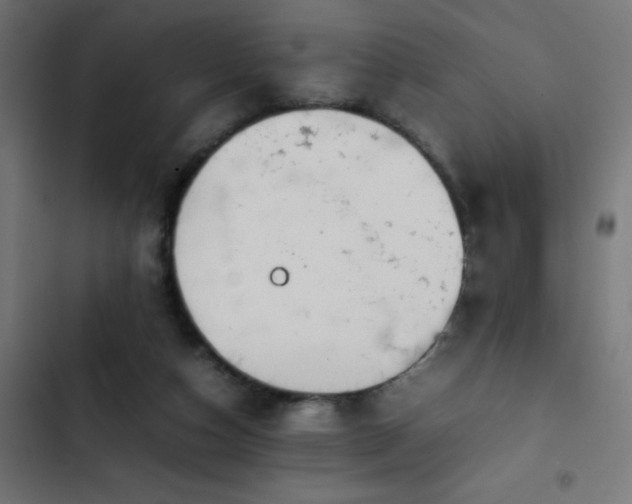 X0000103450162200809121436