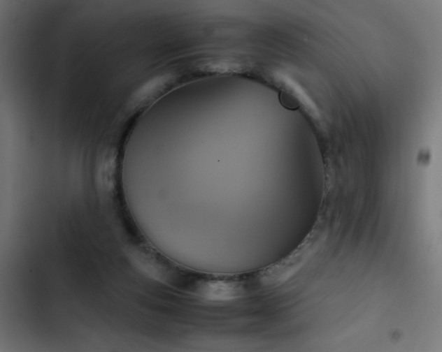X0000103450163200809121436