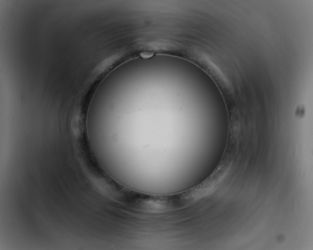 X0000103450164200809121436