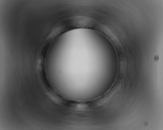 X0000103450165200809121436