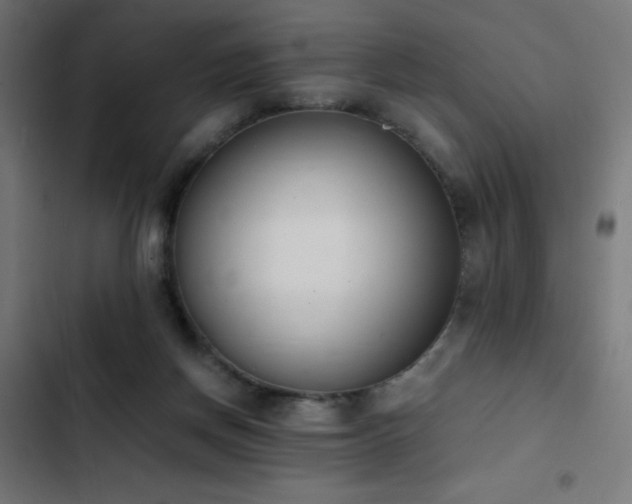 X0000103450166200809121436