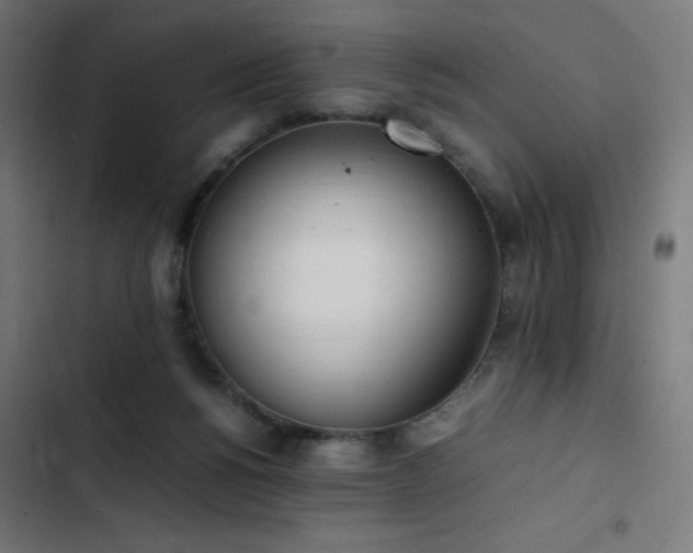 X0000103450168200809121436