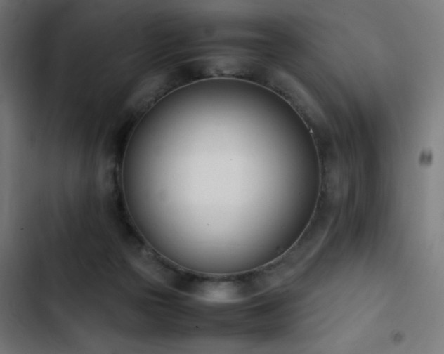 X0000103450169200809121436