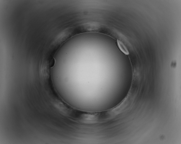 X0000103450170200809121436