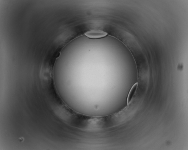 X0000103450172200809121436