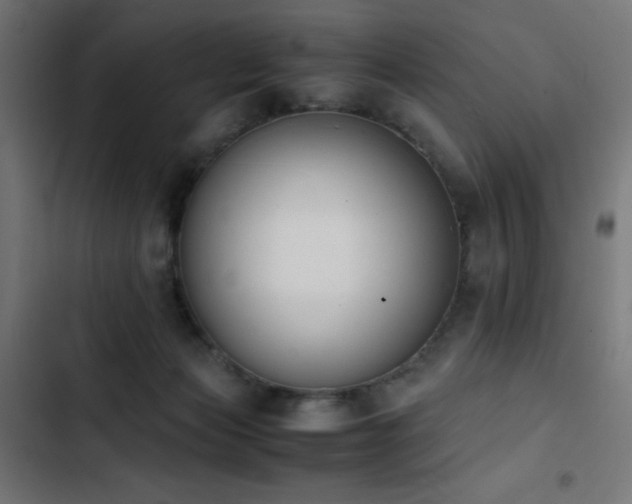 X0000103450173200809121436