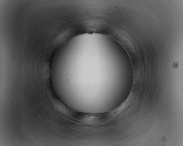 X0000103450174200809121436