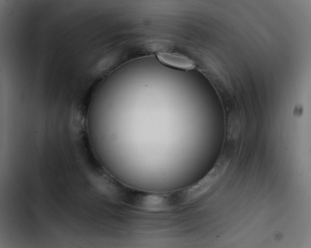 X0000103450176200809121436