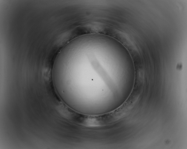 X0000103450177200809121436