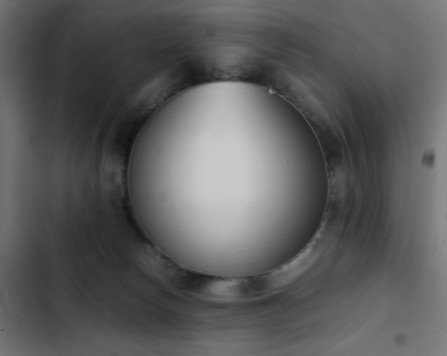 X0000103450178200809121436