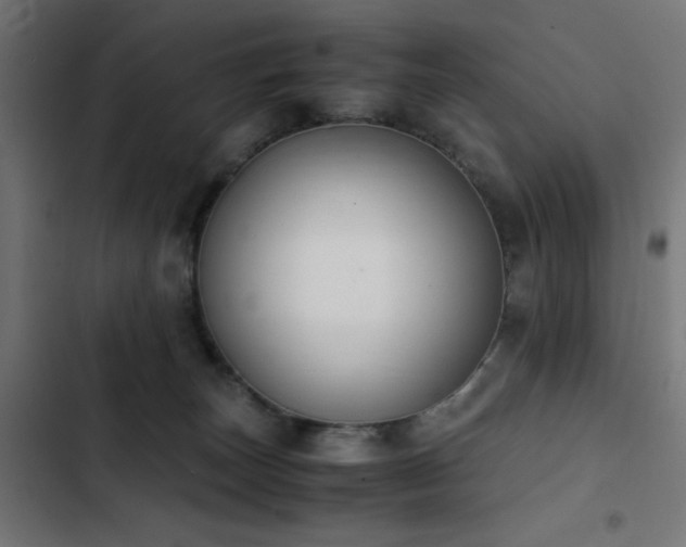 X0000103450179200809121436