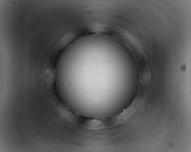 X0000103450180200809121437