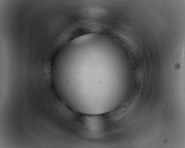 X0000103450181200809121437