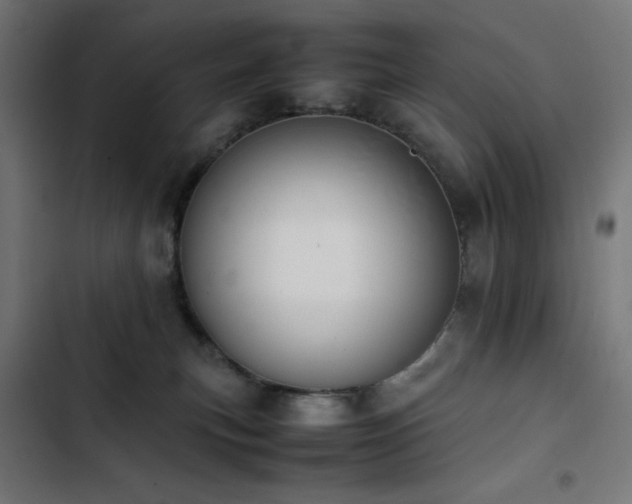 X0000103450183200809121437