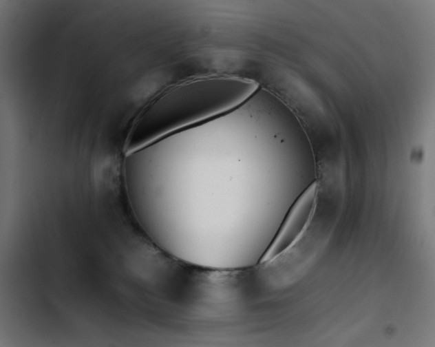 X0000103450184200809121437