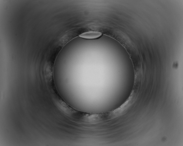 X0000103450186200809121437