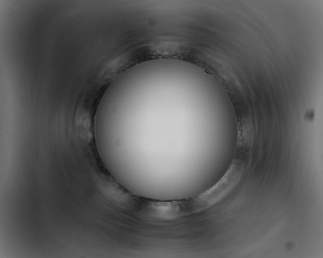 X0000103450187200809121437