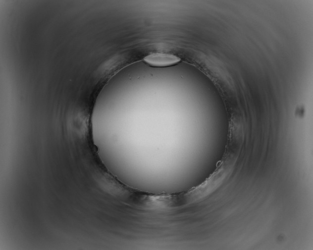 X0000103450188200809121437