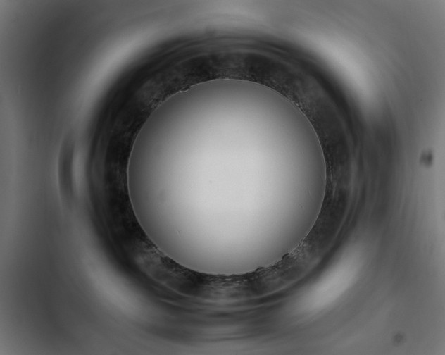 X0000103450189200809121437