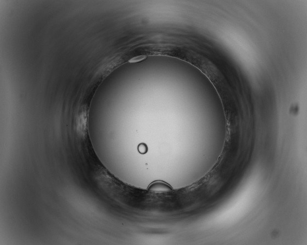 X0000103450190200809121437
