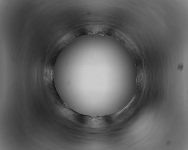 X0000103450191200809121437