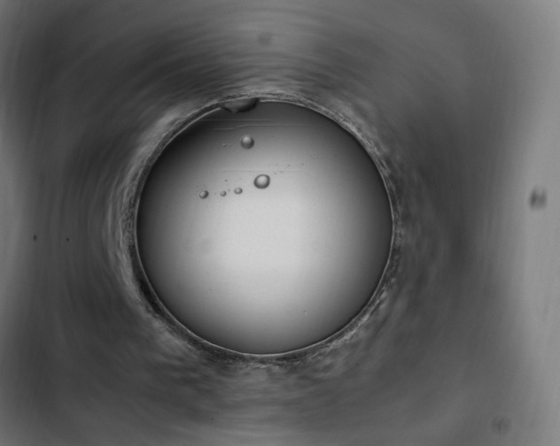 X0000103450193200809121436