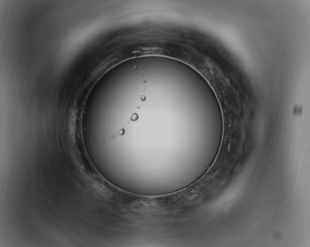 X0000103450194200809121436