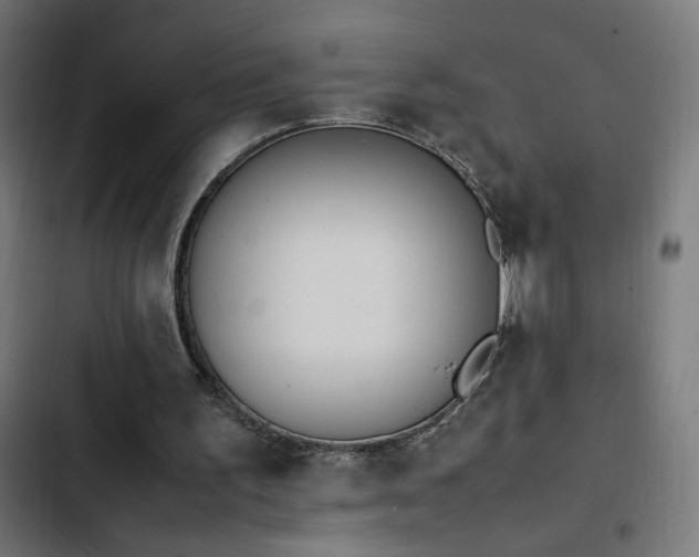 X0000103450195200809121436