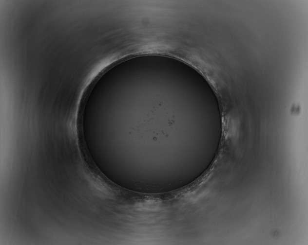 X0000103450196200809121436