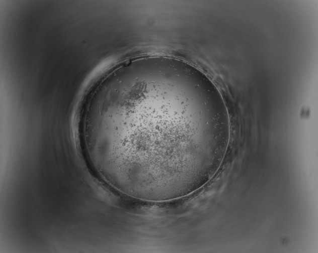 X0000103450197200809121436