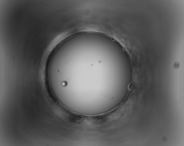 X0000103450199200809121436